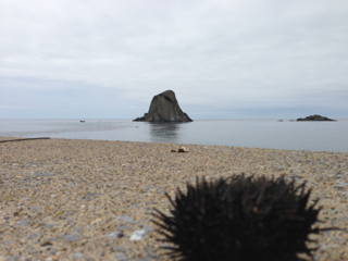 image-20130804182126.png